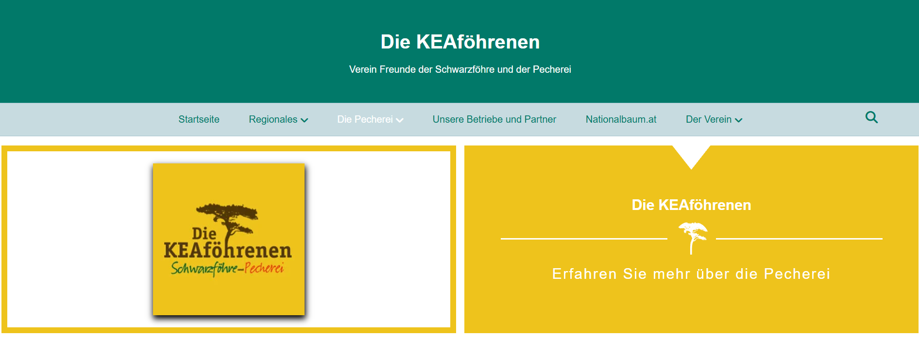 Die KEAföhrenen